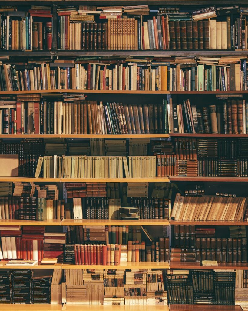 Wooden bookcase filled with old books