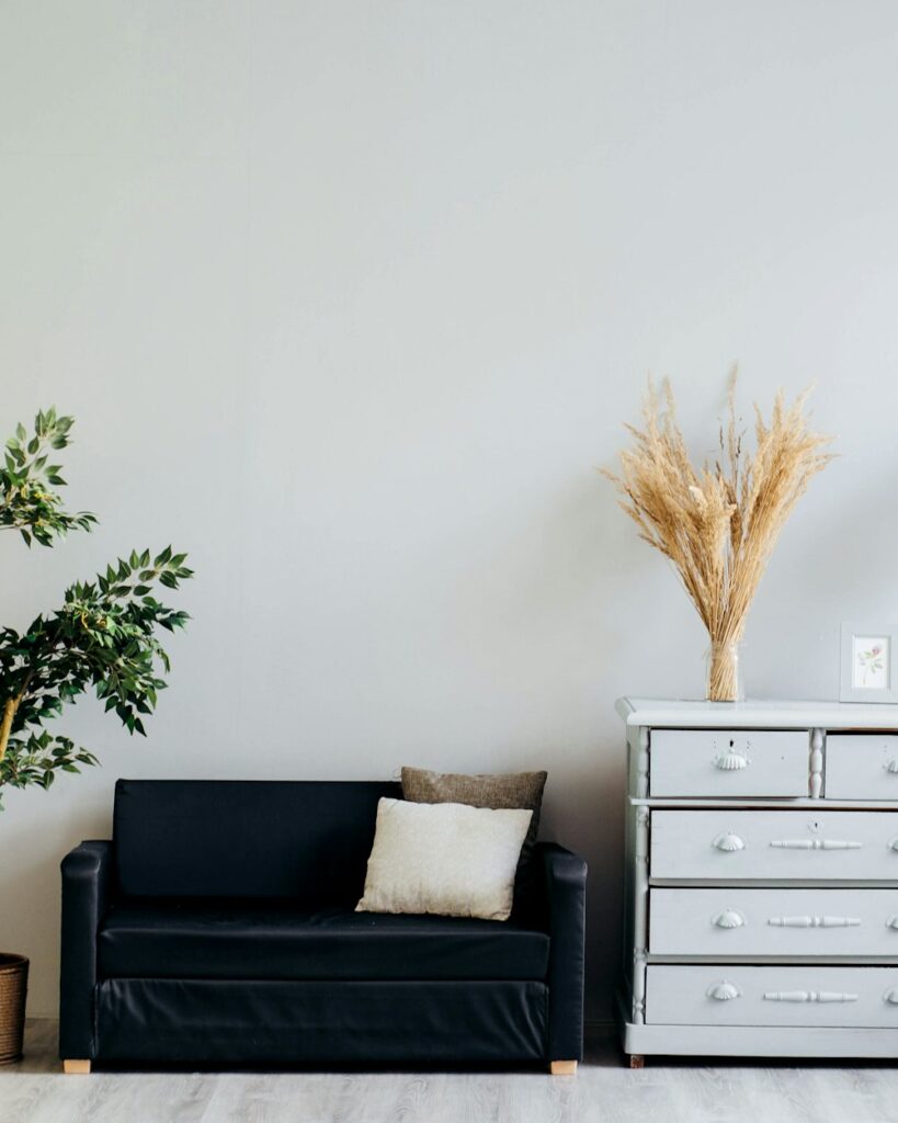Black sofa and a white chest of drawers with dried grasses in a vase