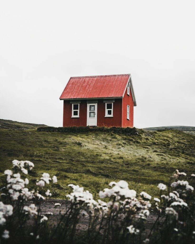 Small red-roofed house on a green hill with white flowers in front